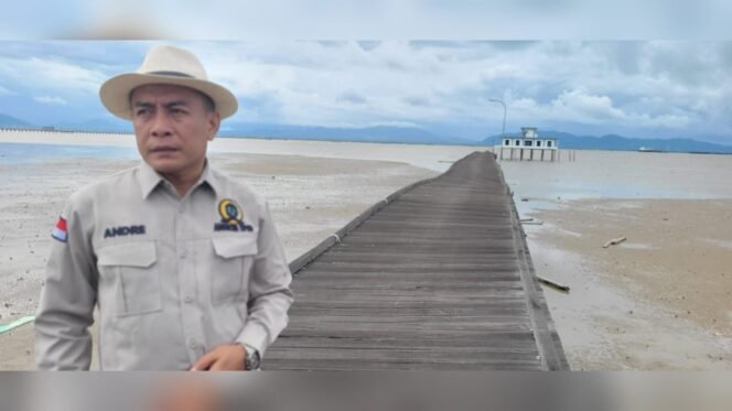 Sorot Kasus 54 Ekor Sapi Mati, DPRD Nunukan : Uang Negara Dipake Main Main, APH Jangan Hanya Menonton