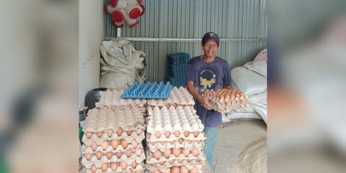 Berawal Dari Coba Coba, Kelompok Tani Pancang Cerah Punya Omset Rp 40 Juta Per Bulan