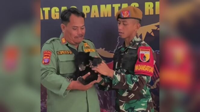 Satgas Pamtas RI – Malaysia Yonarhanud 8/MBC, Serahkan Dua Bayi Beruang Madu ke BKSDA Tarakan