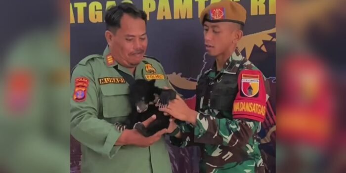 Satgas Pamtas RI – Malaysia Yonarhanud 8/MBC, Serahkan Dua Bayi Beruang Madu ke BKSDA Tarakan