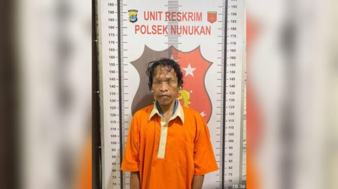 Sakit Hati Ikan Koi Miliknya Digoreng Pencuri, Seorang ASN Di Nunukan Menolak Berdamai
