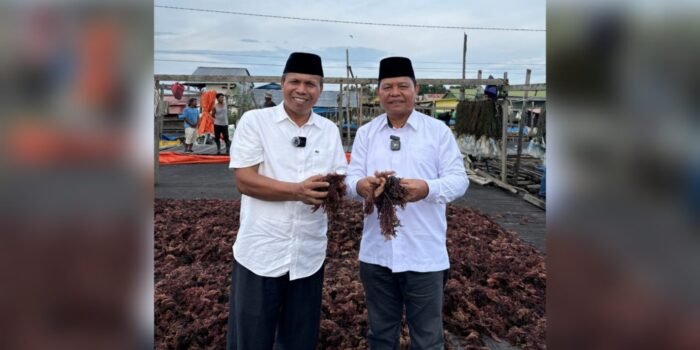 Menilik Program Ekonomi ‘’BAHAGIA’’, Janji Menaikkan Harga Rumput Laut Hingga Menambah Besaran APBD Nunukan