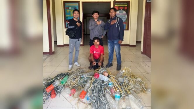 
					Gagal Panen Karena Rumput Laut Dicuri, Petani Rumput Laut Di Sebatik Polisikan Temannya
